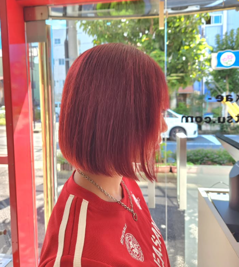 image_list