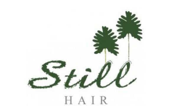 logo_image