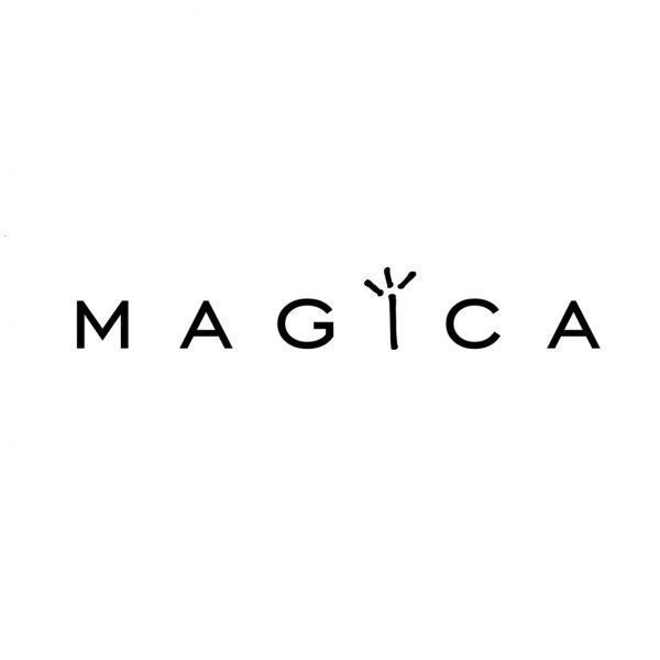 logo_image